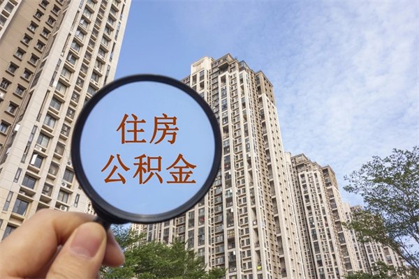 灌云辞职了补充公积金能取不（辞职后补充公积金如何提取）